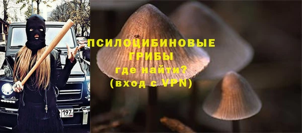 крисы Алзамай