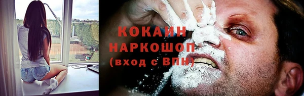 крисы Алзамай