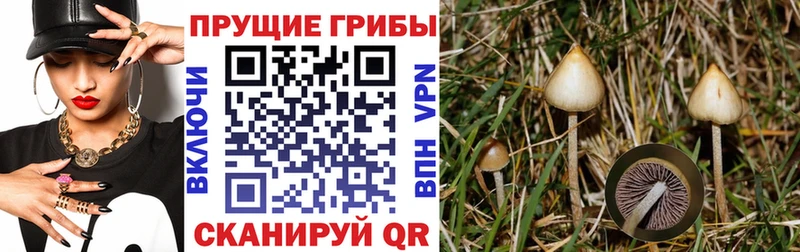 хочу Мегион ссылка на мегу зеркало Галлюциногенные грибы ЛСД